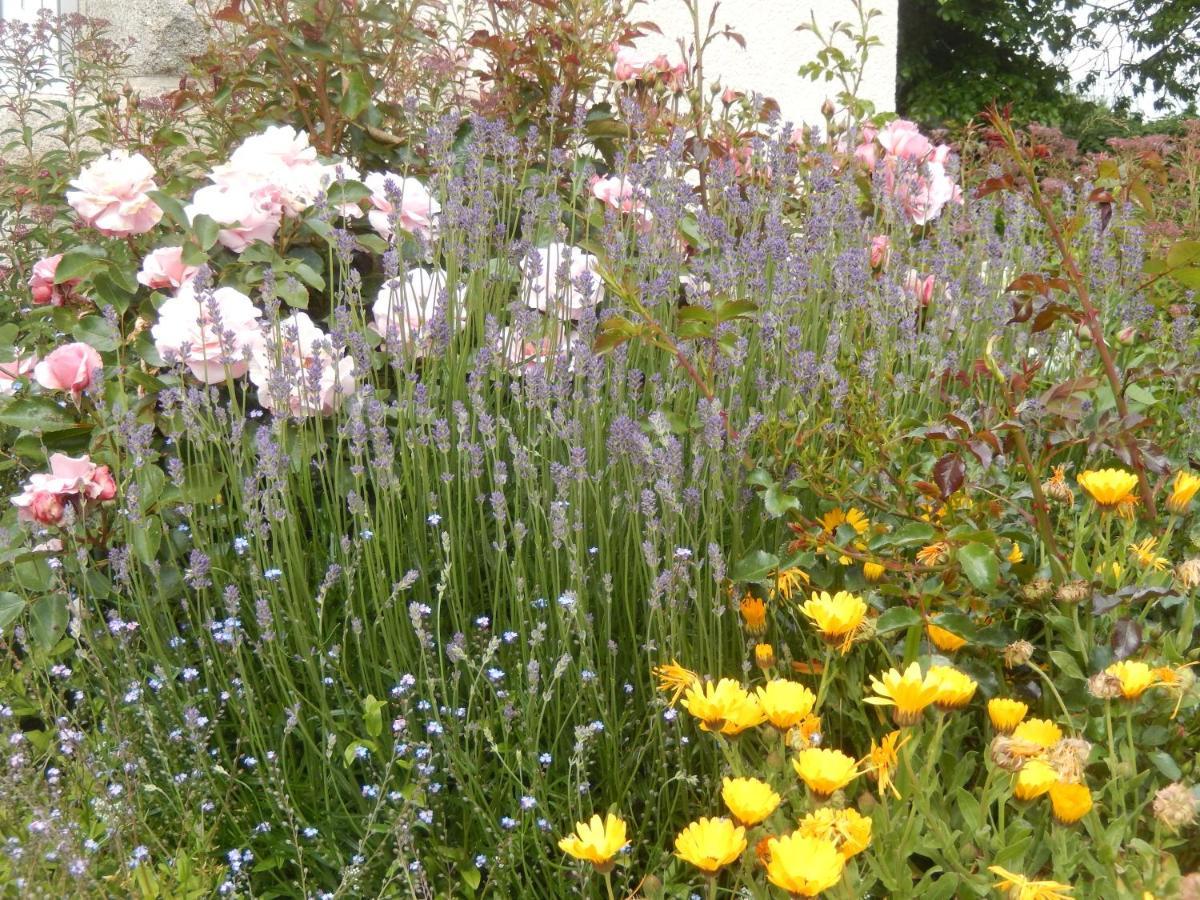 Bed and Breakfast Le Tregonnec, Pres De Morlaix, Roscoff Plouvorn Екстер'єр фото