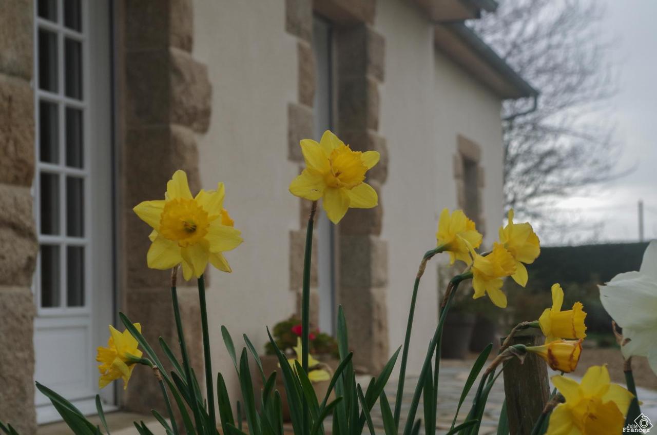Bed and Breakfast Le Tregonnec, Pres De Morlaix, Roscoff Plouvorn Екстер'єр фото