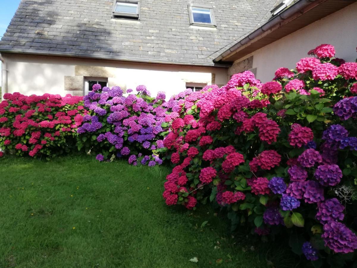 Bed and Breakfast Le Tregonnec, Pres De Morlaix, Roscoff Plouvorn Екстер'єр фото