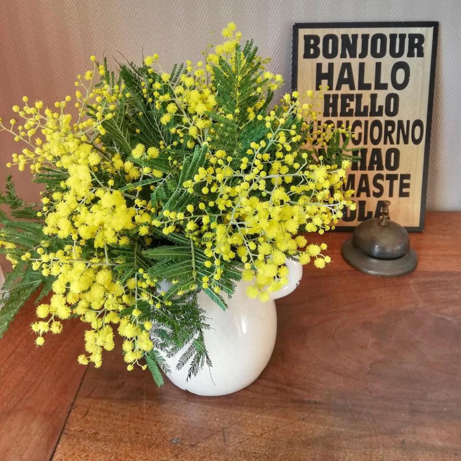 Bed and Breakfast Le Tregonnec, Pres De Morlaix, Roscoff Plouvorn Екстер'єр фото